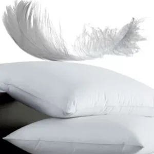 مخدة نايس 100% ريش بط أبيض ناعم